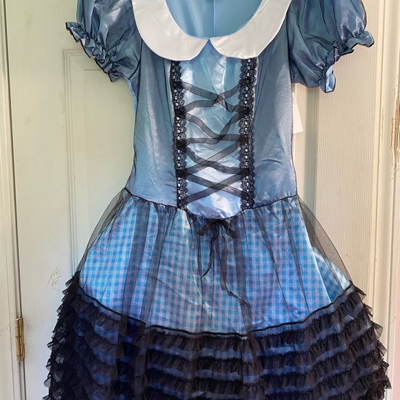 Wicked Dorothy Costume NWT (Fits Most) - Picture 3 of 7